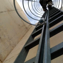 Escalas fijas